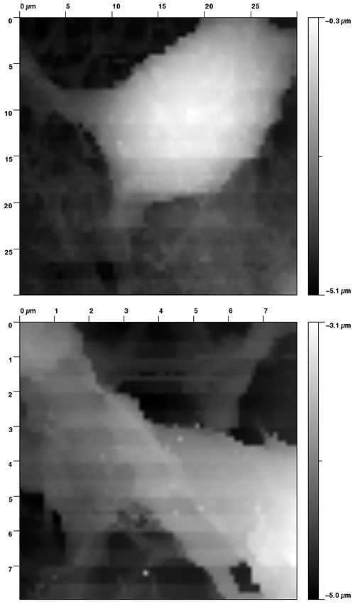 scanning ion conductance images of the source cell